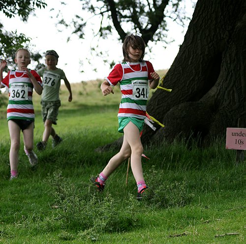Photo Yorks Jnr Fell Champs, Hellifield, 1 Aug 2009 029.jpg copyright © 2024 Norman Berry